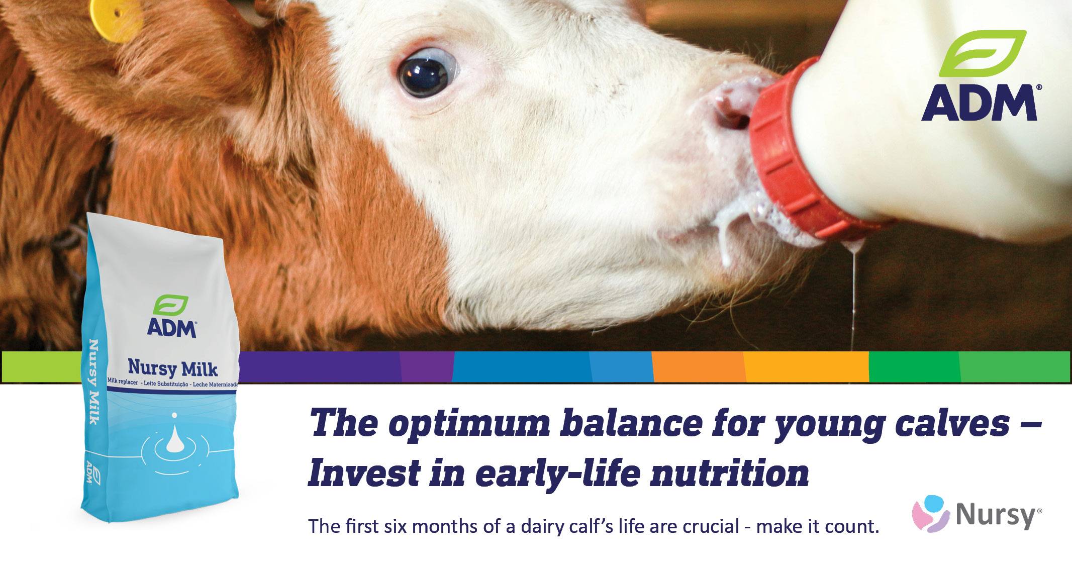 Nursy Pro® milk replacer | ADM Nutrition