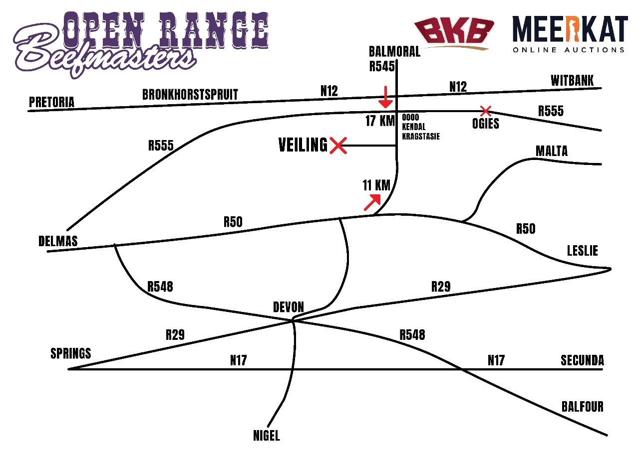 Open Range Beefmasters Produksieveiling | 11 November 2025 | Plaas Straffontein - 1