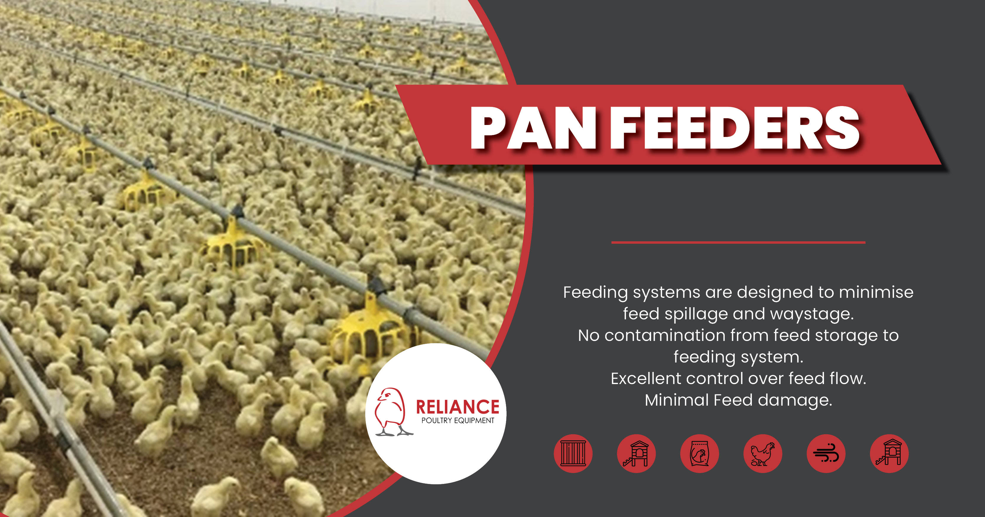 Pan Feeders | Reliance Poultry Equipment