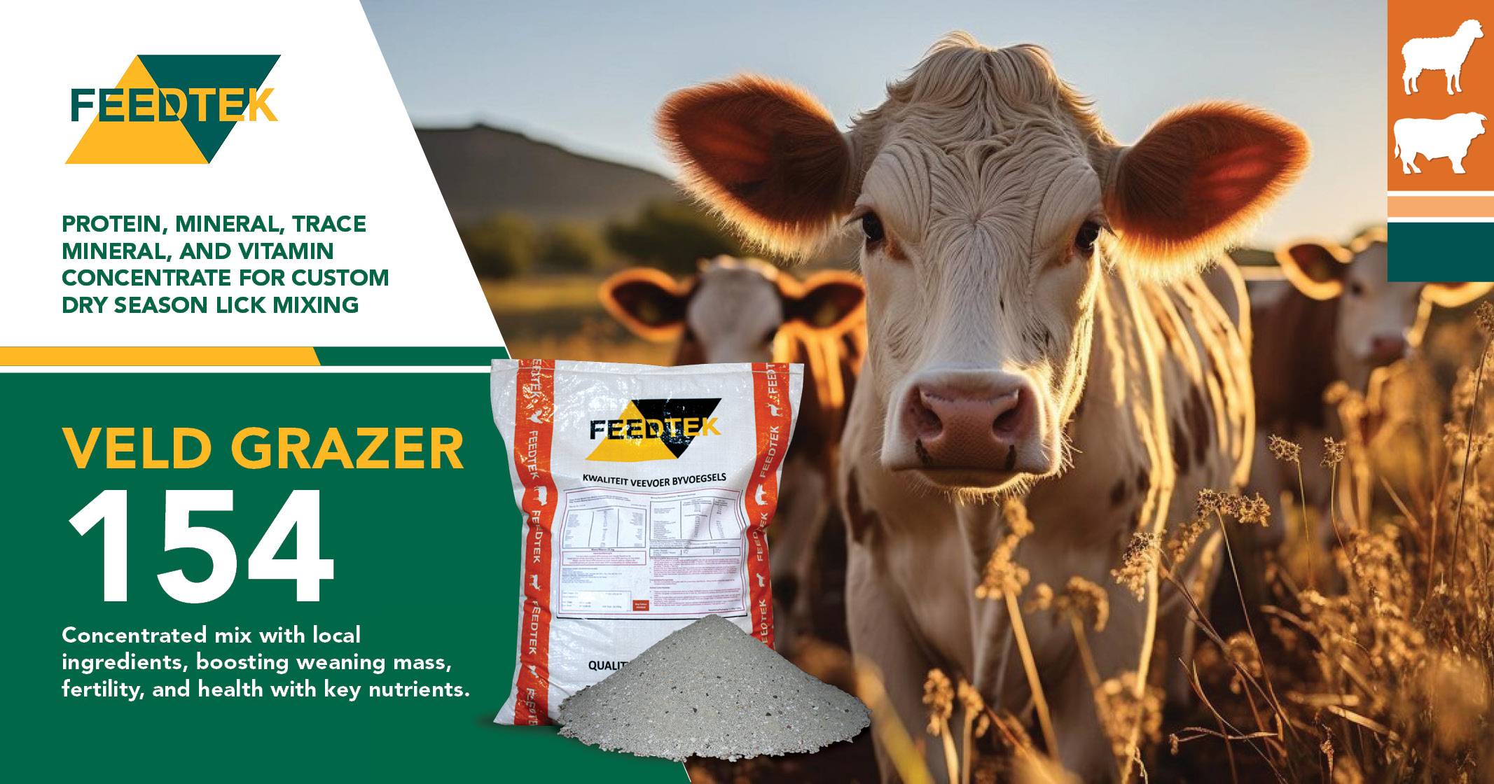 Power your cattle | Veld Grazer 154 | Feedtek Animal Feed Solutions