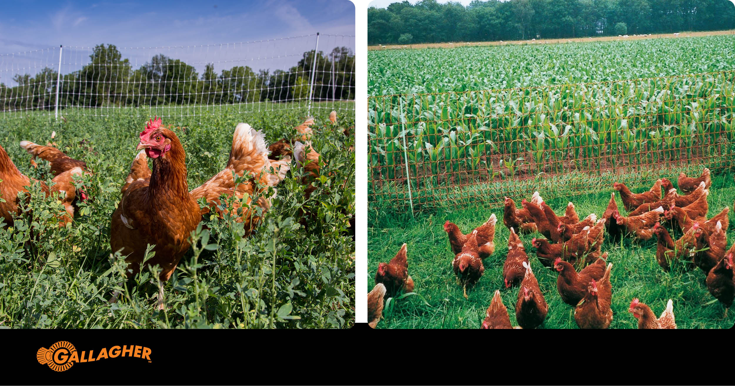 Protect your assets with secure fencing options! | Gallagher - 8
