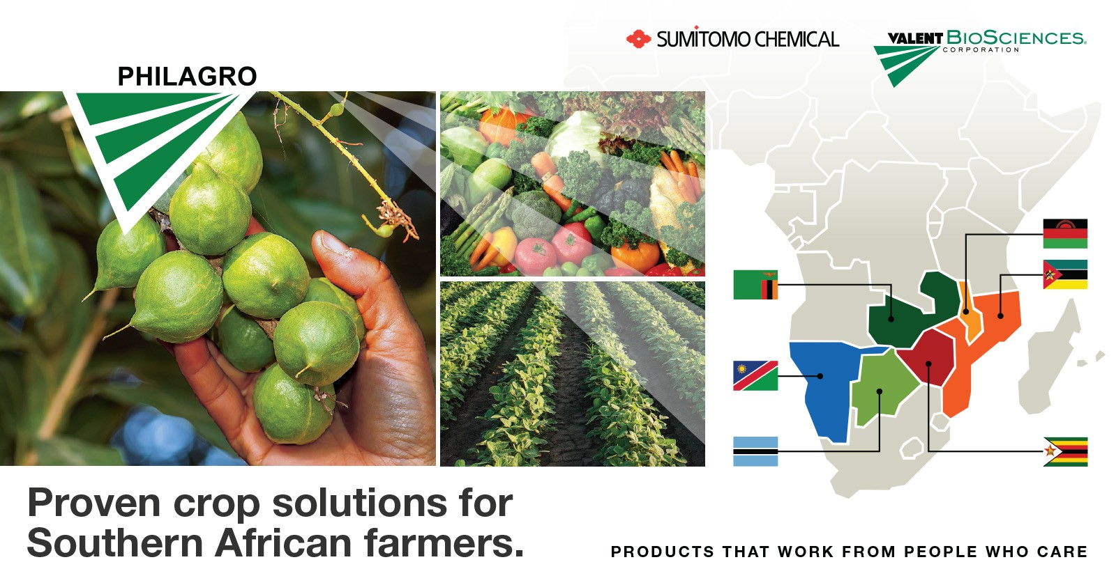 Proven crop solutions for African farmers | Philagro South Africa (Pty) Ltd - 5