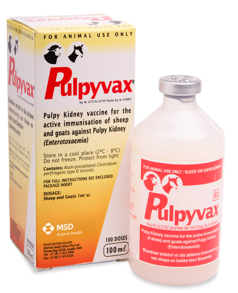 Pulpyvax 100 ml | ANB Vet