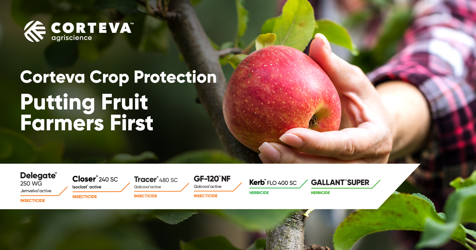 Putting Fruit Farmers First | Corteva Agriscience™