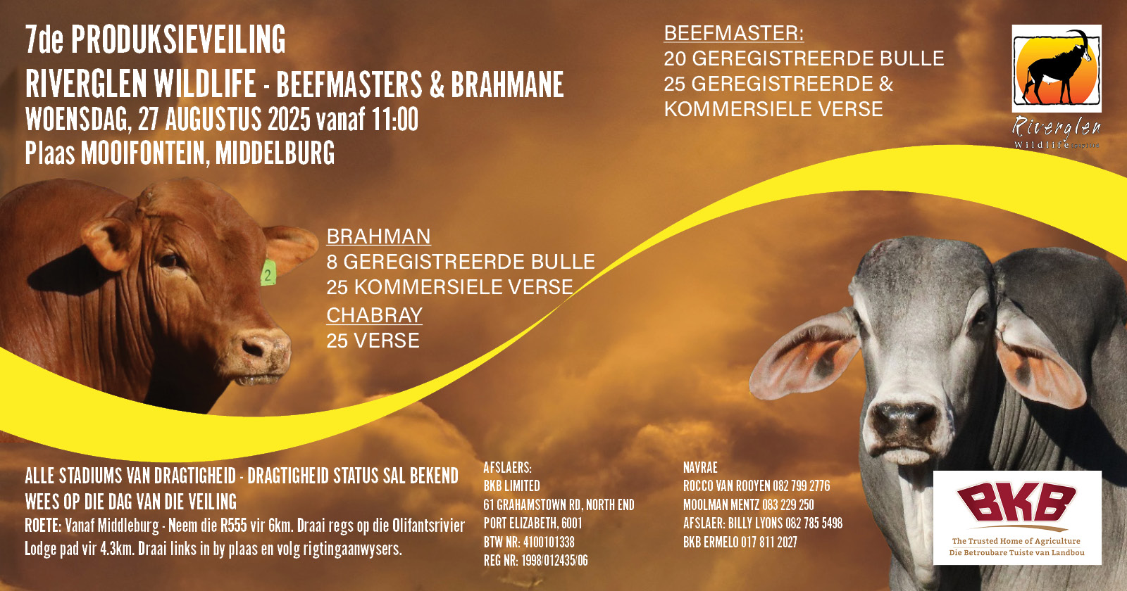 Riverglen Wildlife – Beefmasters & Brahmane 7de produksieveiling | 27 Augustus 2025 | Middelburg