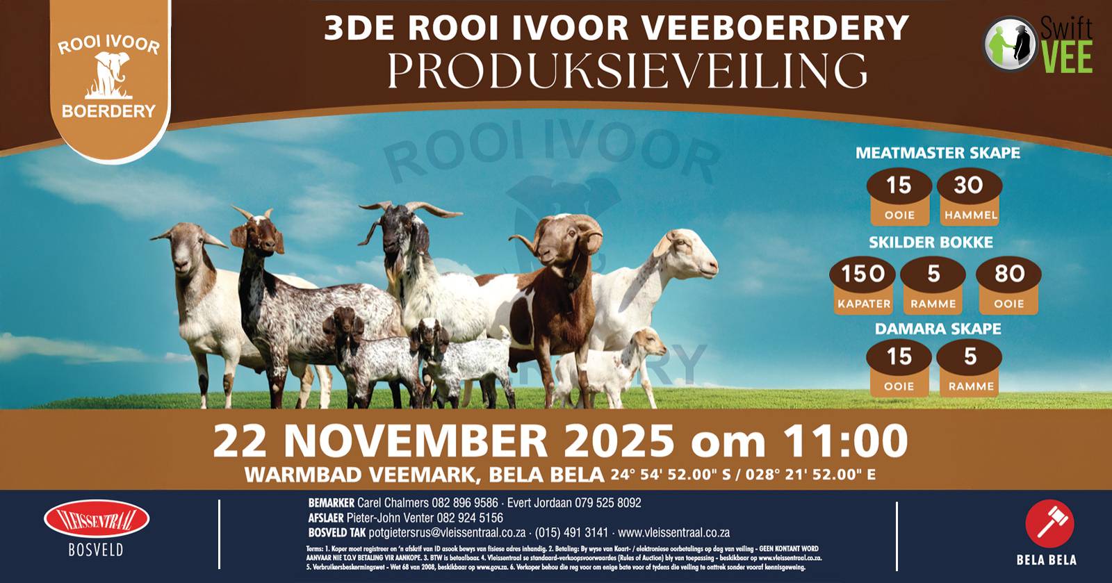 Rooi Ivoor Veeboerdery 3de Produksieveiling | 22 November | 11:00 | Warmbad Veemark, Bela-Bela