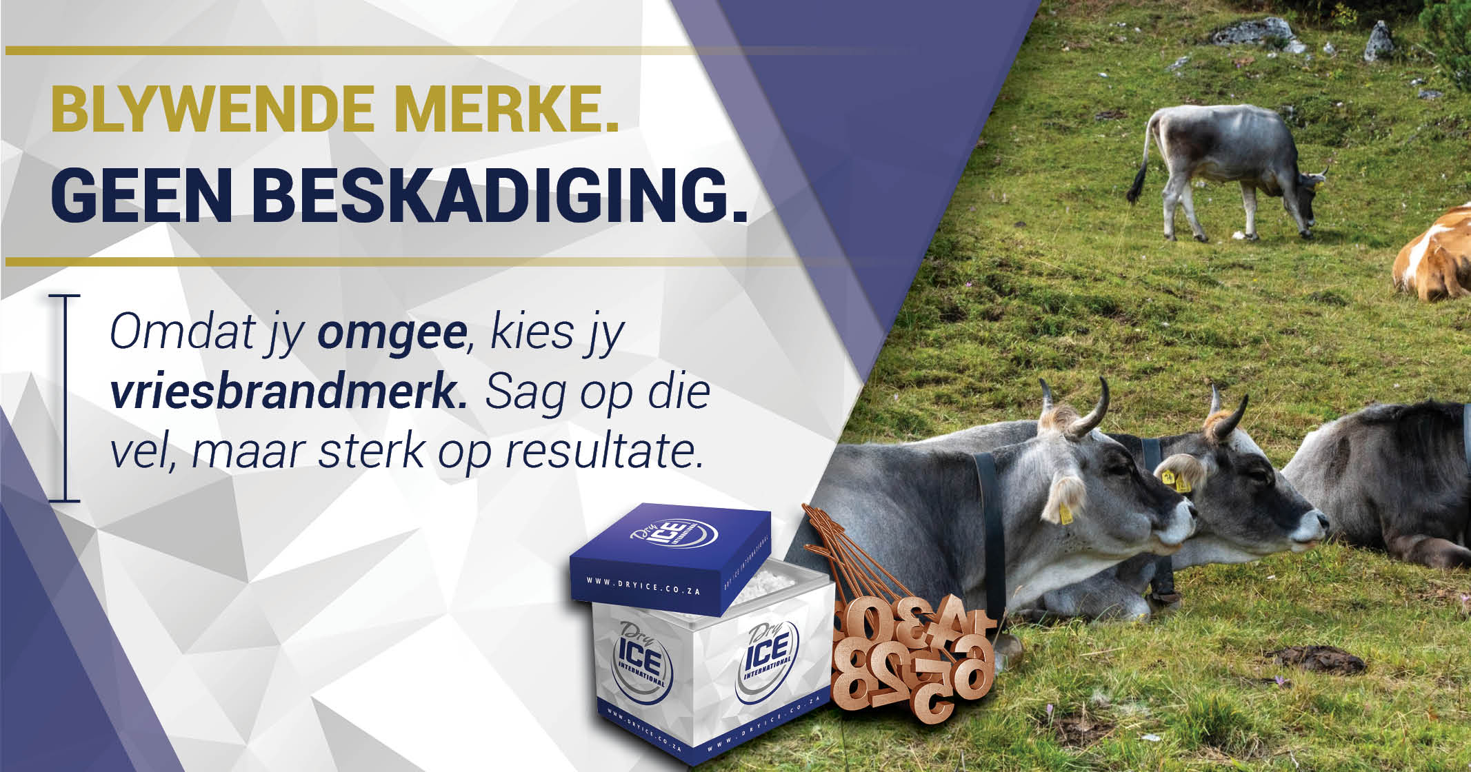 Sag op die Vel, Sterk op Resultate: Die Vriesbrandmerk Oplossing | Dry Ice 4 Farming
