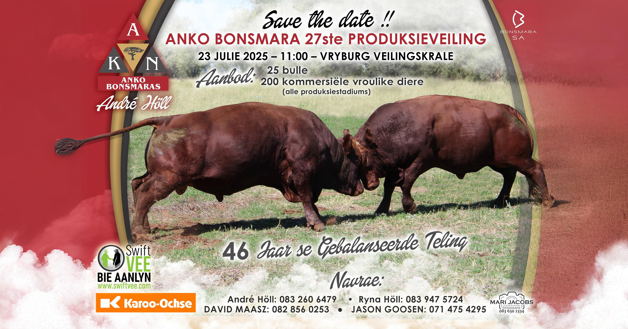 Save the date! | Anko Bonsmara 27ste Produksieveiling | 23 Julie 2025 | Vryburg Veilingskrale