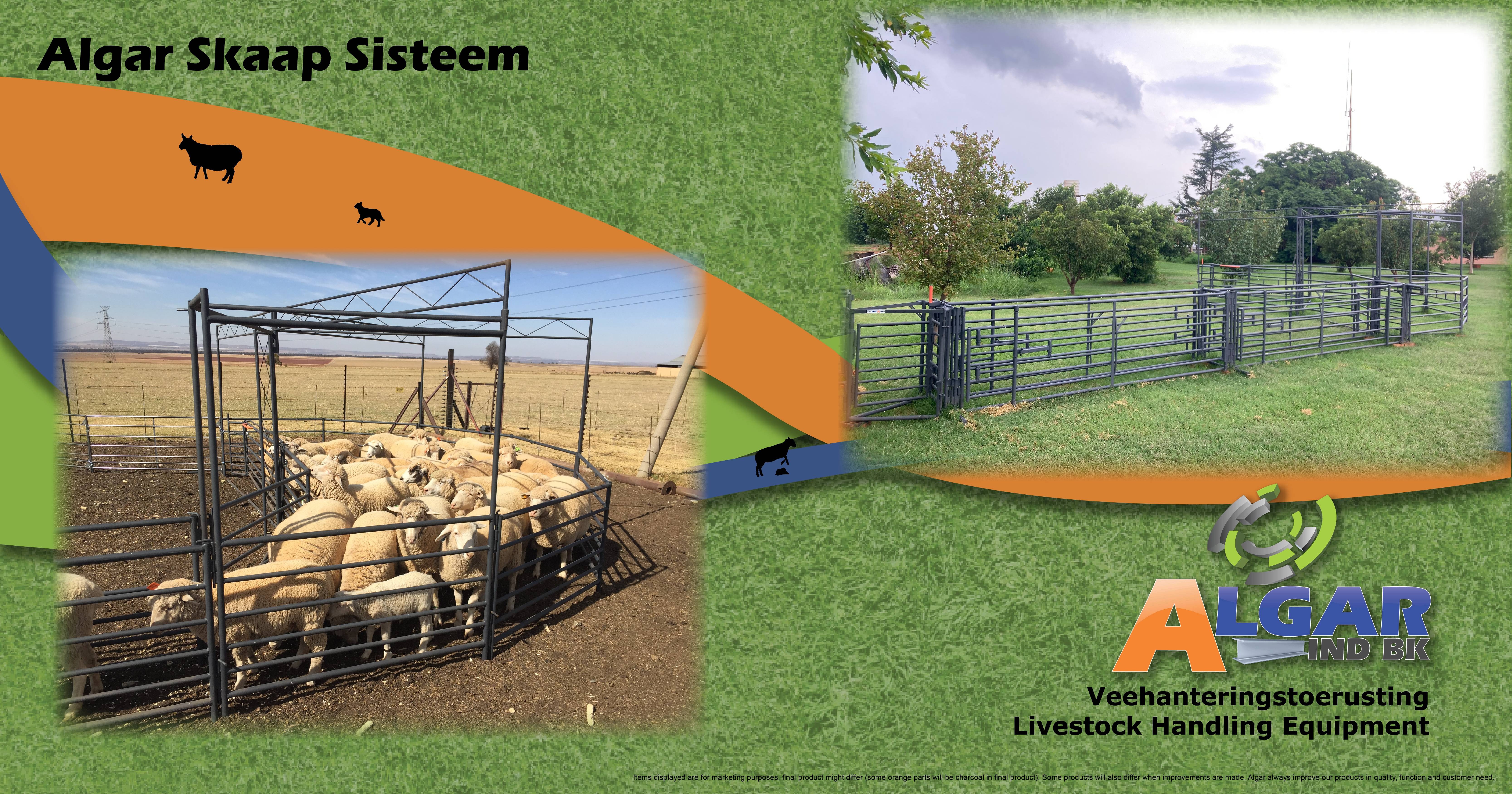 Sheep system | Skaap sisteem | Algar - 1