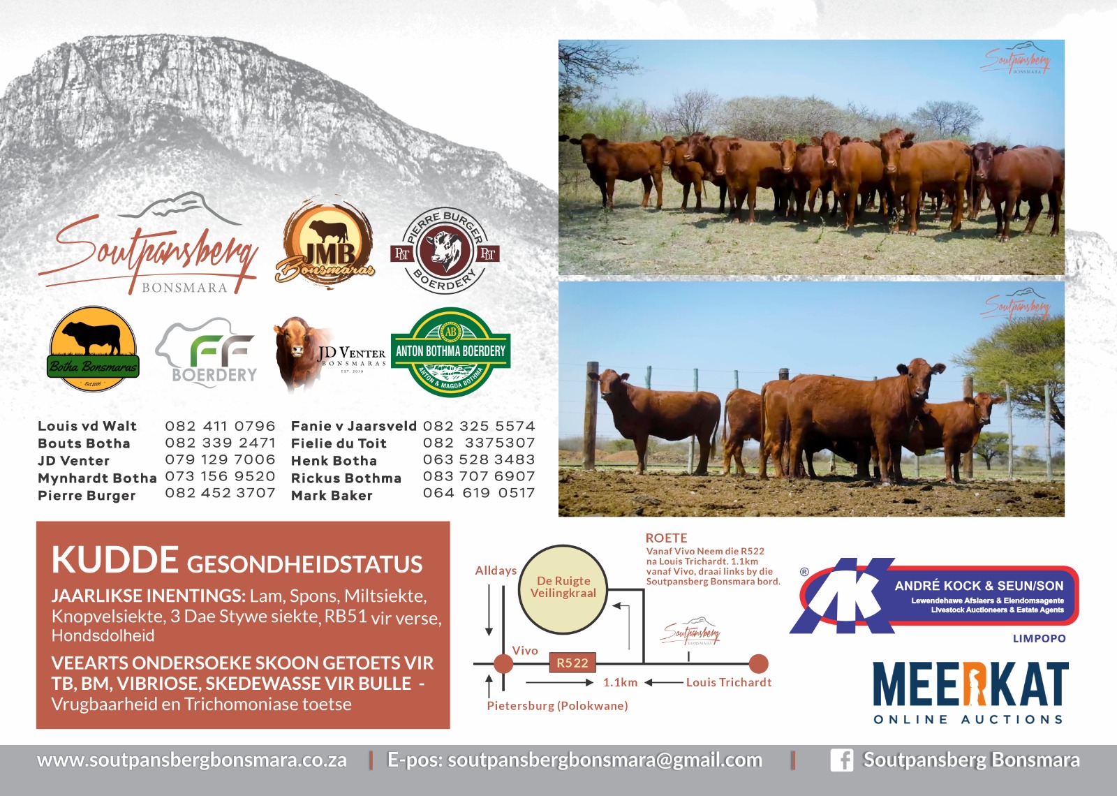 Soutpansberg Bonsmara 2025 Produksieveiling | 10 Oktober | 11:00 | Plaas de Ruigte, Vivo - 1