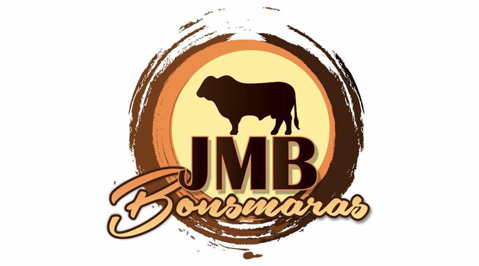 Soutpansberg Bonsmara 2025 Produksieveiling | 10 Oktober | 11:00 | Plaas de Ruigte, Vivo - 5