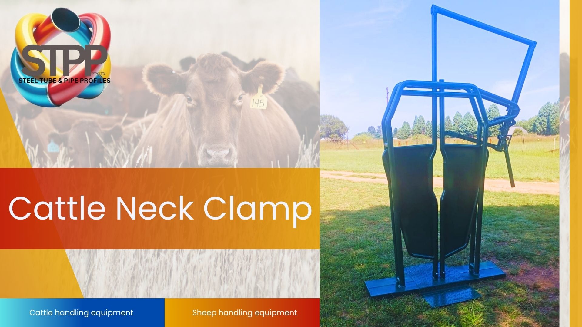 Strong, Secure, and Built to Last – The Ultimate Cattle Neck Clamp! | Steel Tube & Pipe Profiles