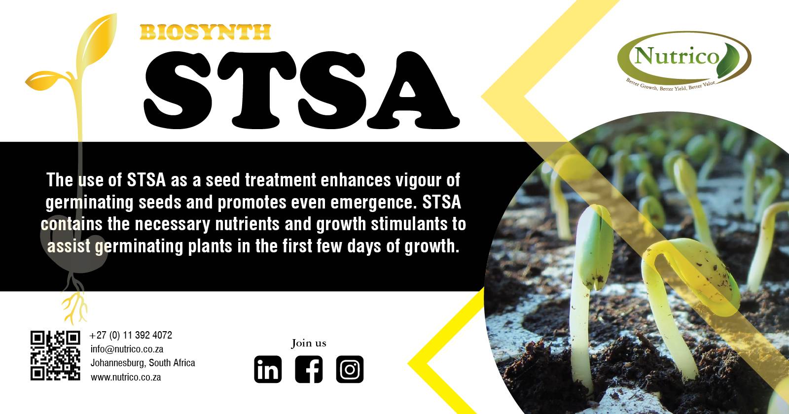 Stronger seeds, healthier crops with Biosynth STSA seed treatment | Nutrico