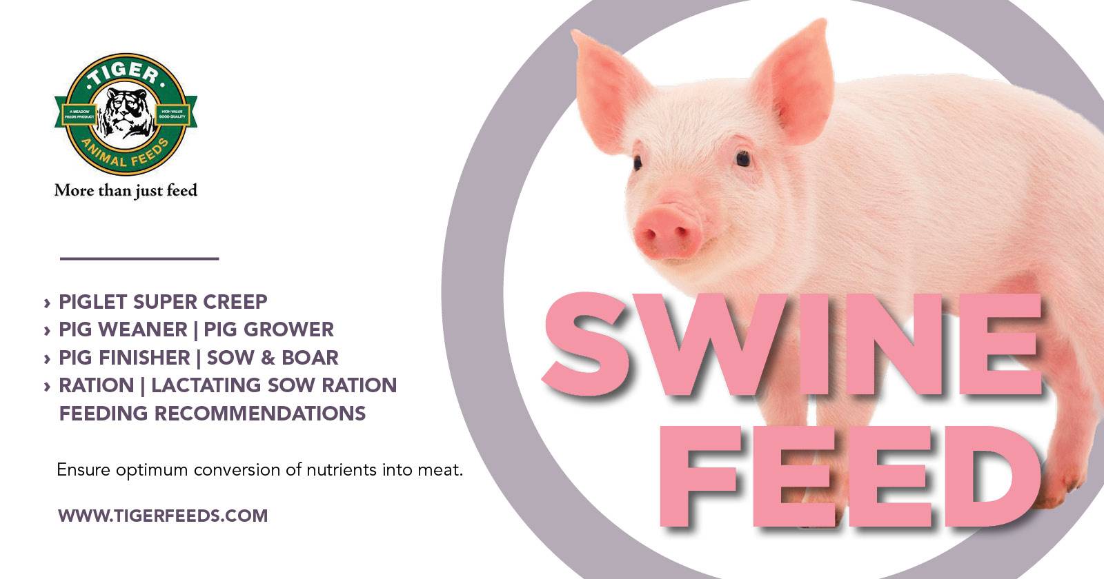 Swine feed | Tiger Animal Feeds