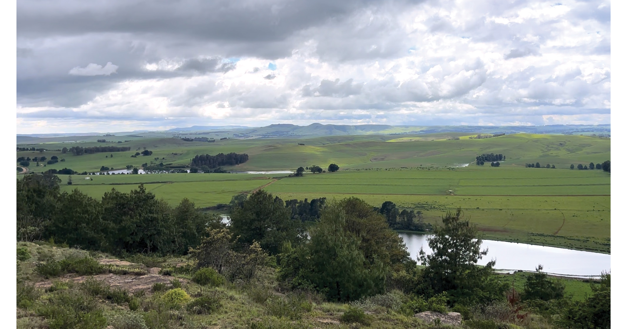 Tender opportunity: 752 HA Dairy Farm in Scenic KZN Midlands | Peter Maskell Auctions CC - 4
