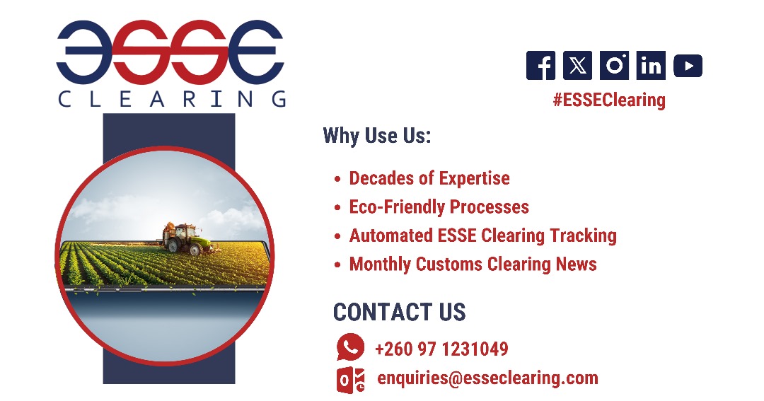 Trusted customs clearing with decades of expertise