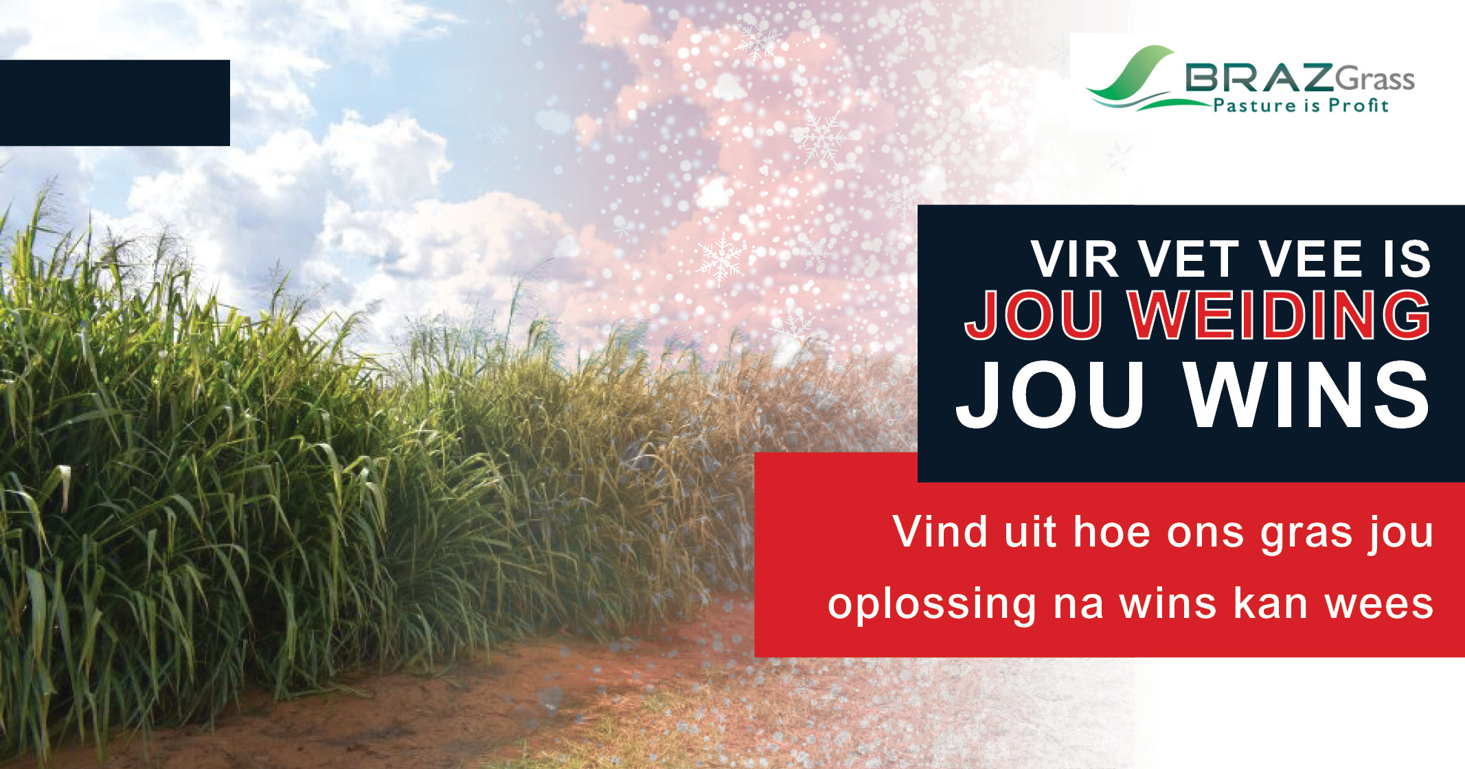 Vir vet vee is jou wieding jou wins, BRAZGrass is jou oplossing