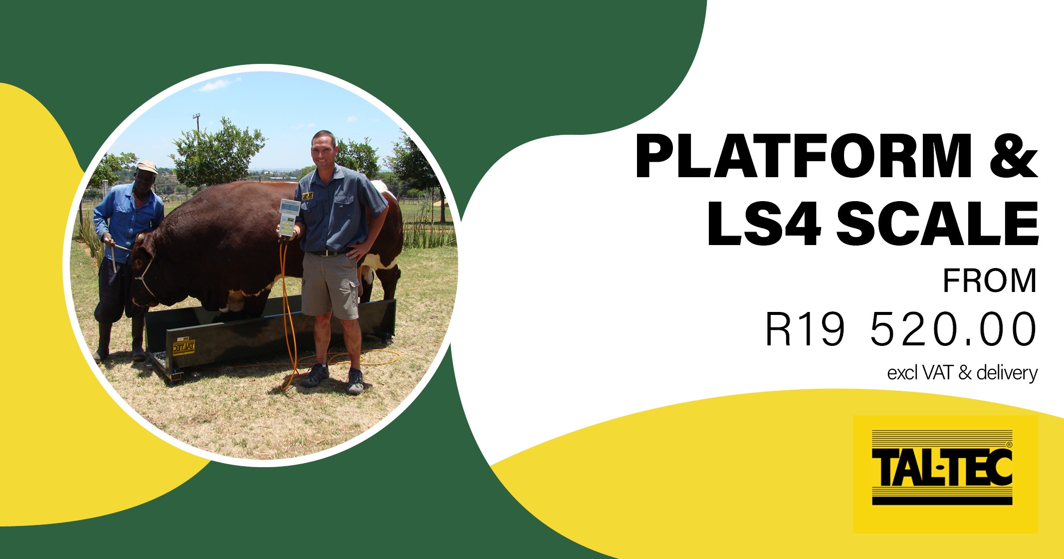 Weigh Smarter: Platform & LS4 Scale Precision | Tal-Tec