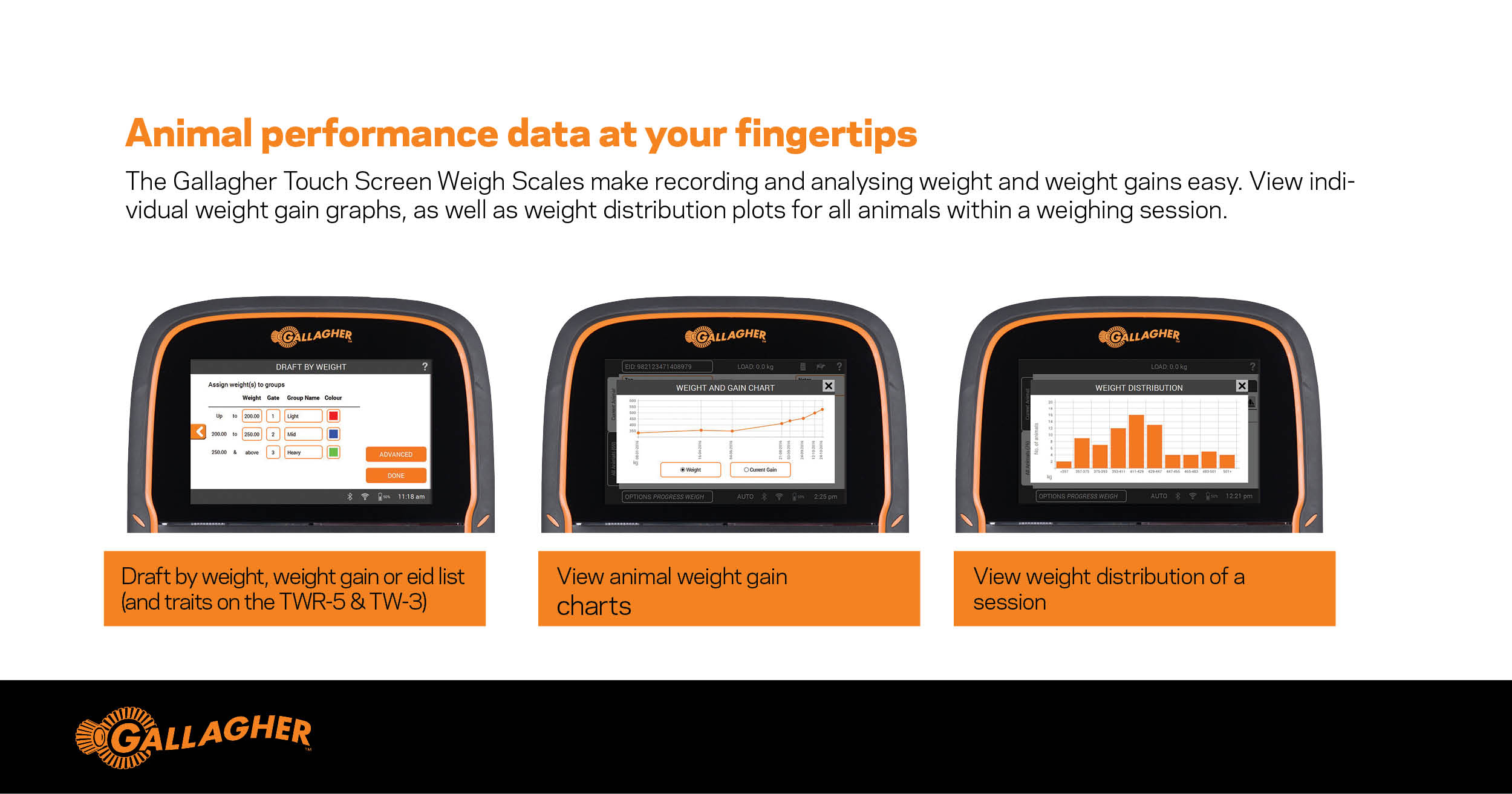 Weighscales range | Gallagher - 2